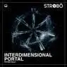 Cover Image for Interdimensional Portal Original Mix