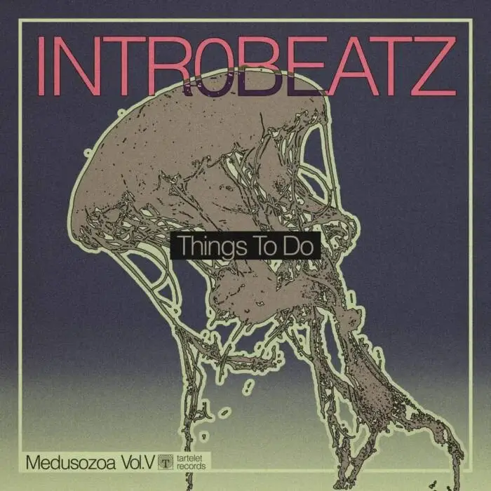 Cover Image: Intr0beatz - Things To Do on Tartelet Records