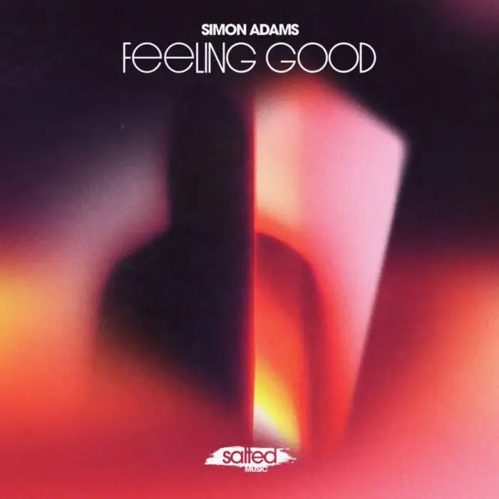 Cover Image: Simon Adams - Feeling Good on Salted Music