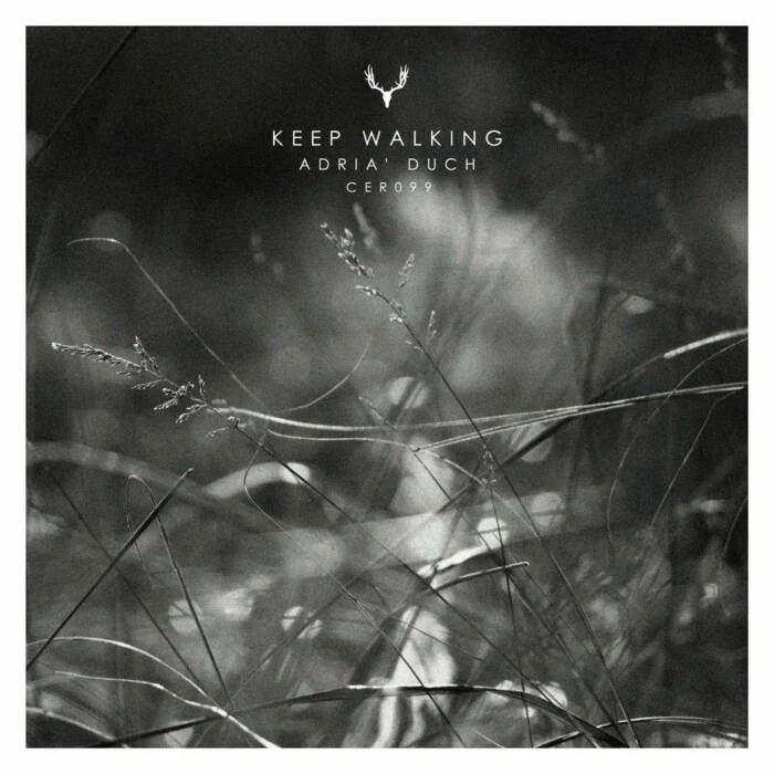 Cover Image: Keep Walking