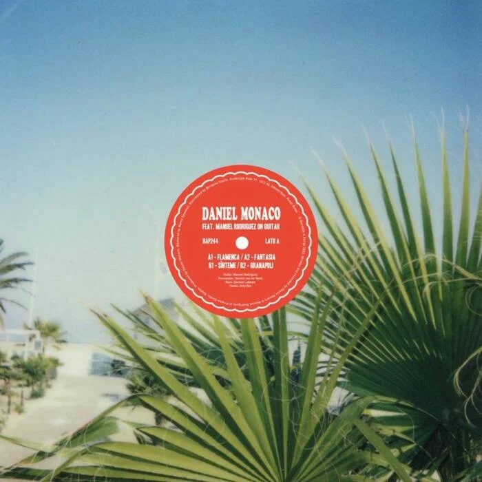 Cover Image: Flamenca