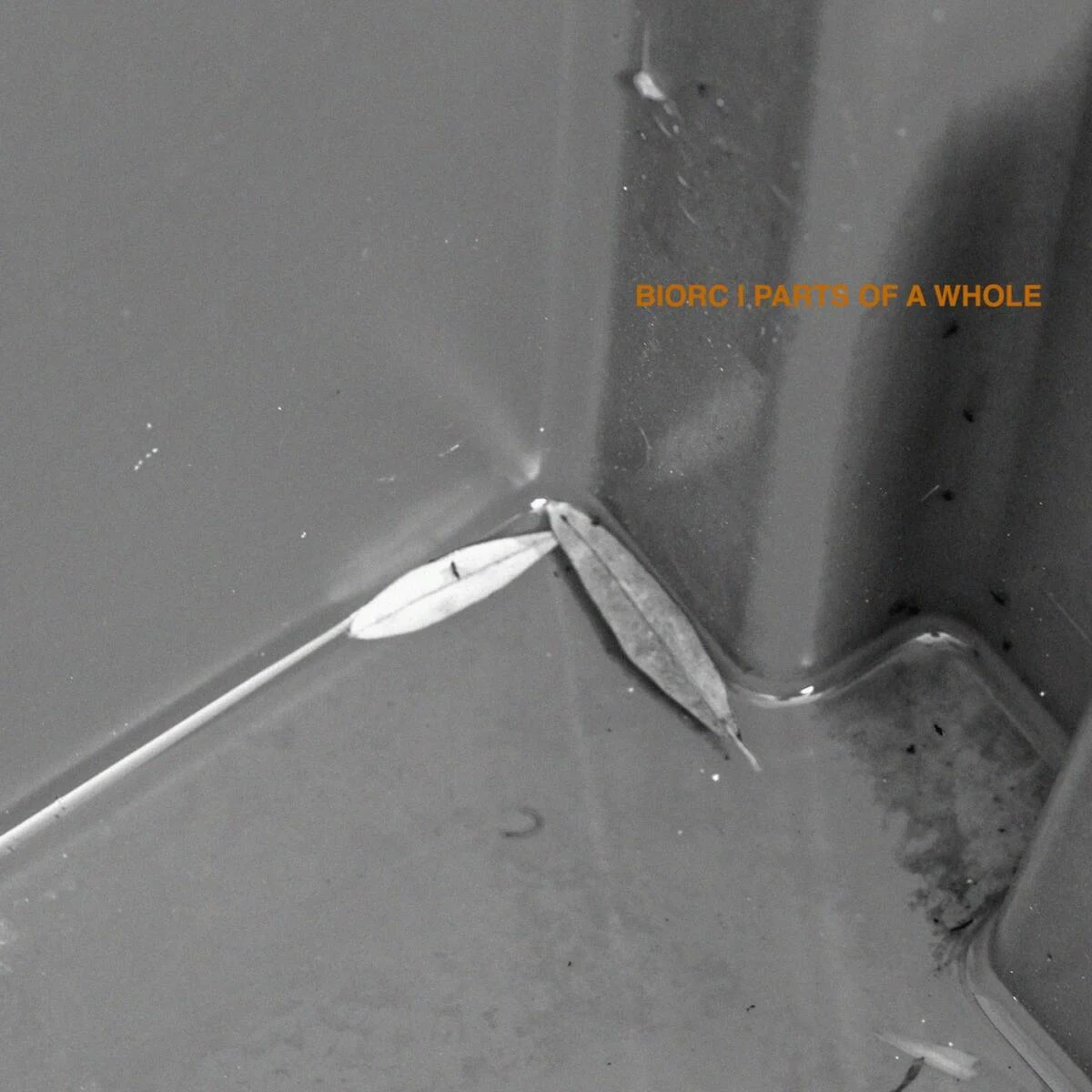 Cover Image: Biorc - Parts Of A Whole on Faut Section