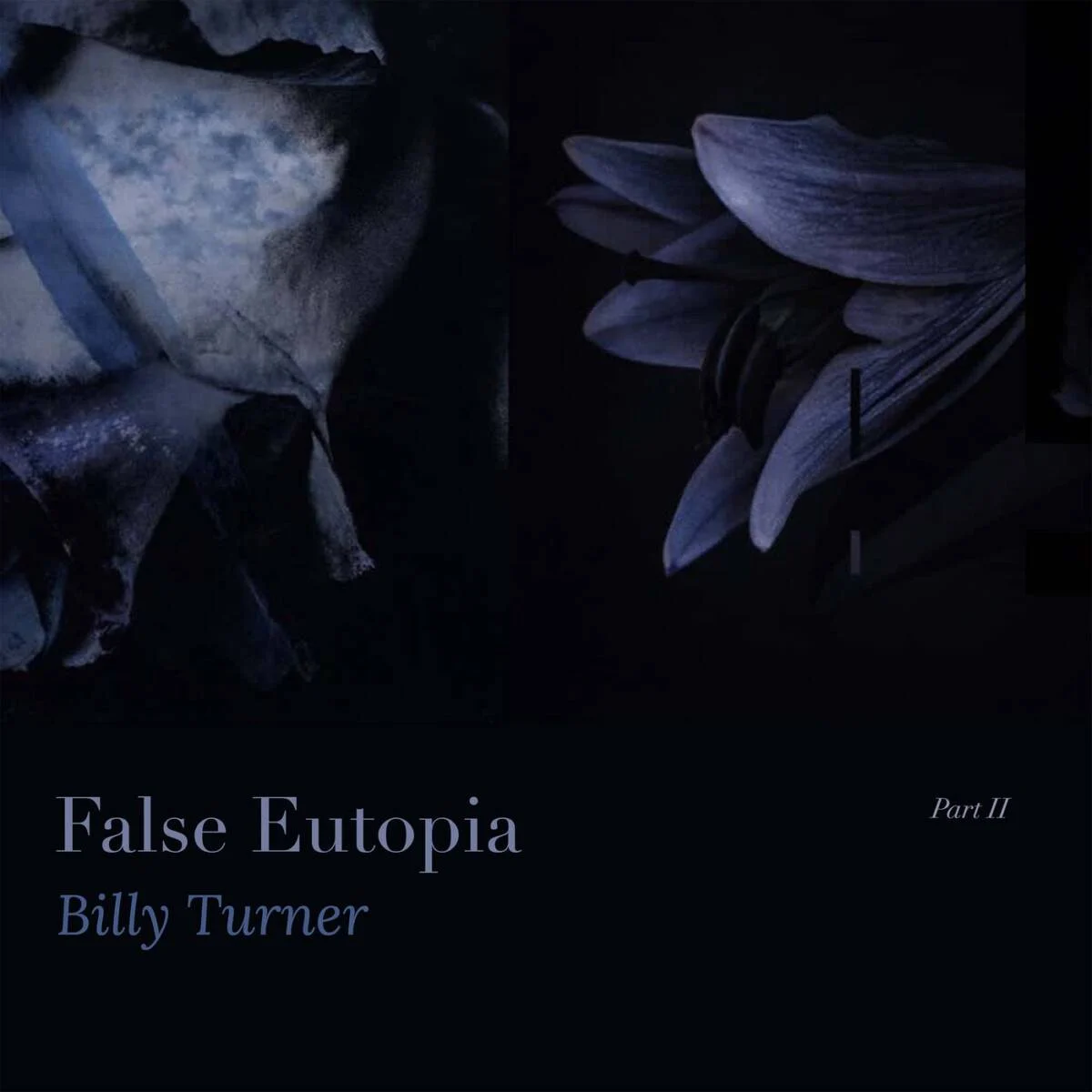 Cover Image: Billy Turner - False Eutopia PT2 on Edit Select