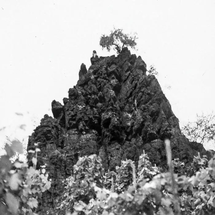 Cover Image: Kat Davids - Manavgat on Intercept