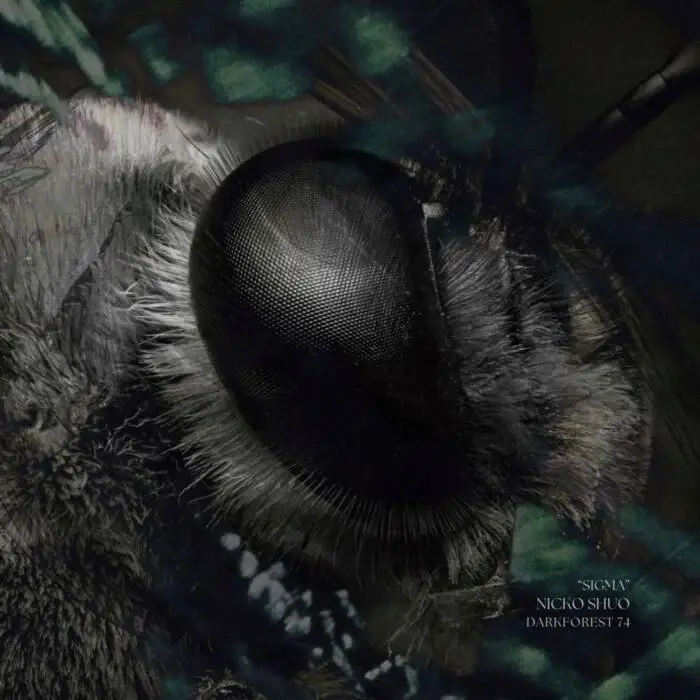 Cover Image: Nicko Shuo - Sigma on DarkForest