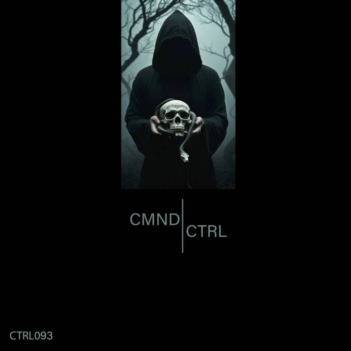 Cover Image: RZNBAM - CTRL093 on CMND CTRL