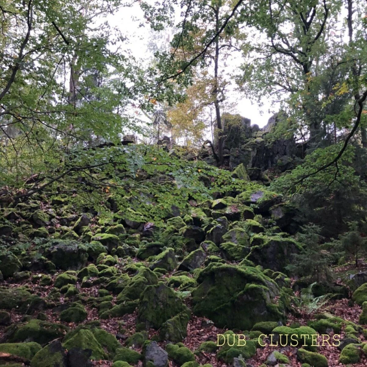 Cover Image: Anton Kubikov - Dub Clusters on Randomart