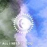 Cover Image for All I Need Is You Extended Mix