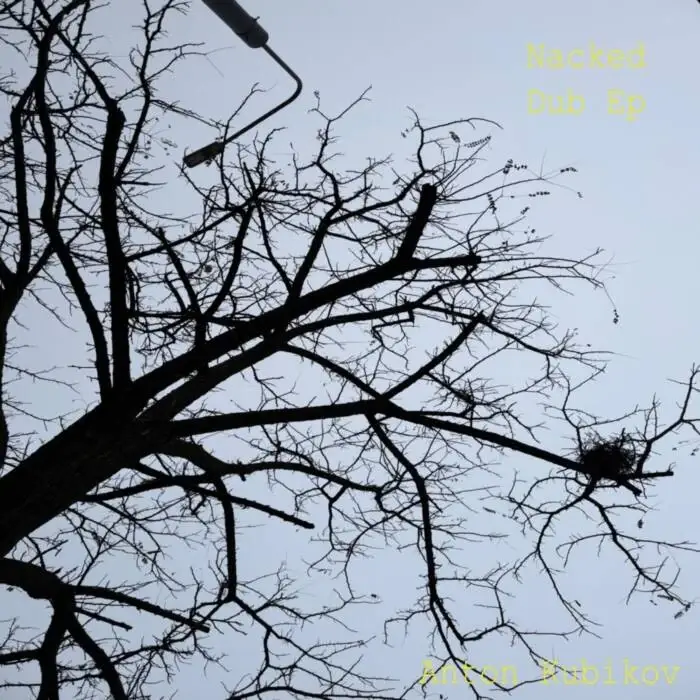 Cover Image: Anton Kubikov - Naked Dub on Randomart