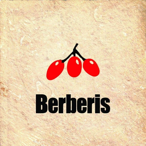 Berberis logo
