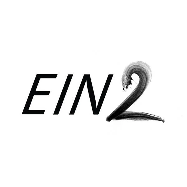 EIN2 logo