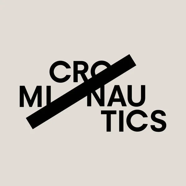 Micronautics logo