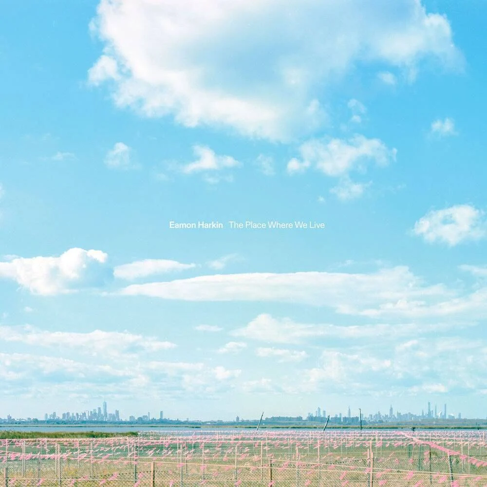 Cover Image: The Place Where We Live