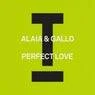 Cover Image for Perfect Love Extended Mix