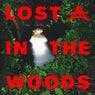 Cover Image for Lost In The Woods Extended Mix