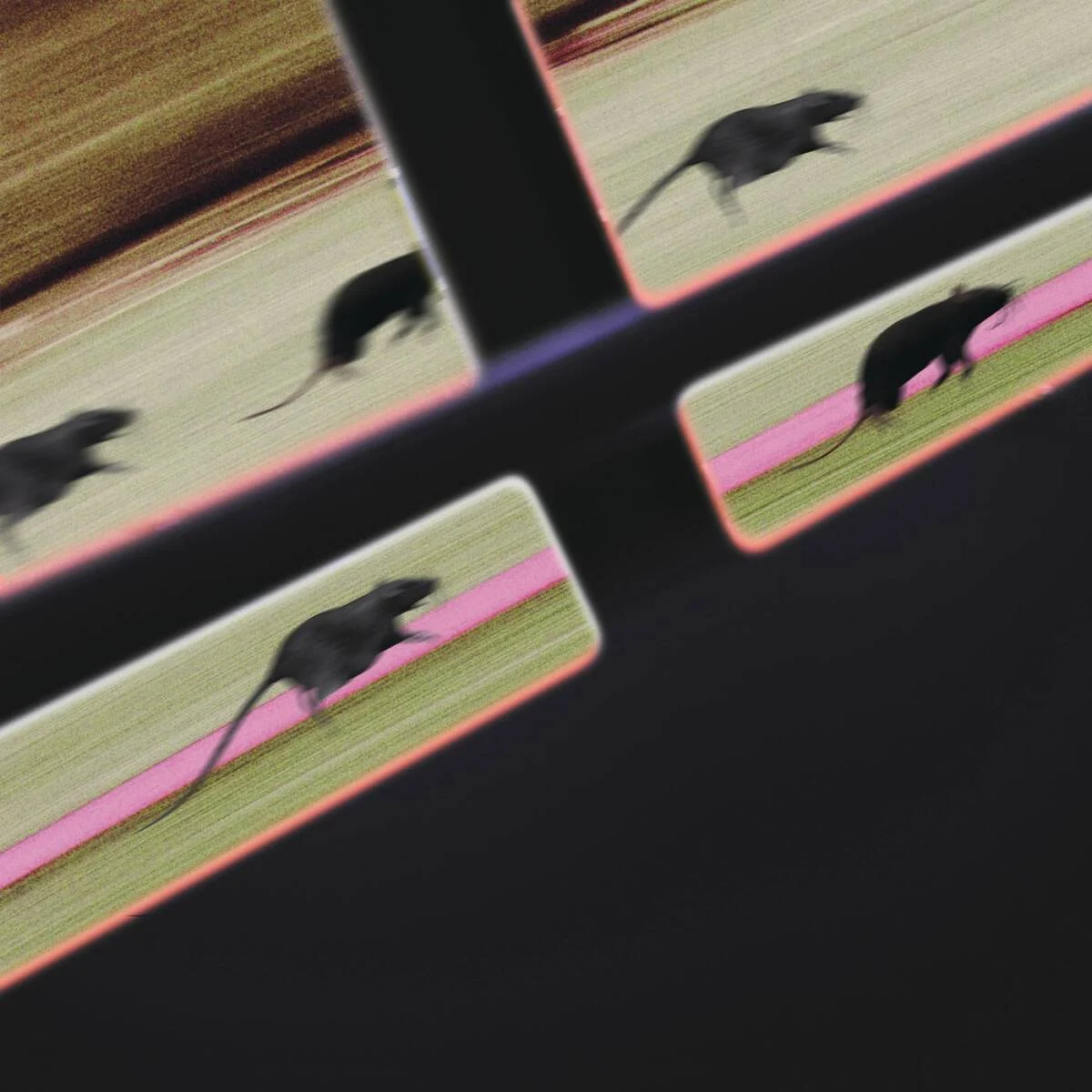 Cover Image: DJ JM - Rat Race on Fever AM