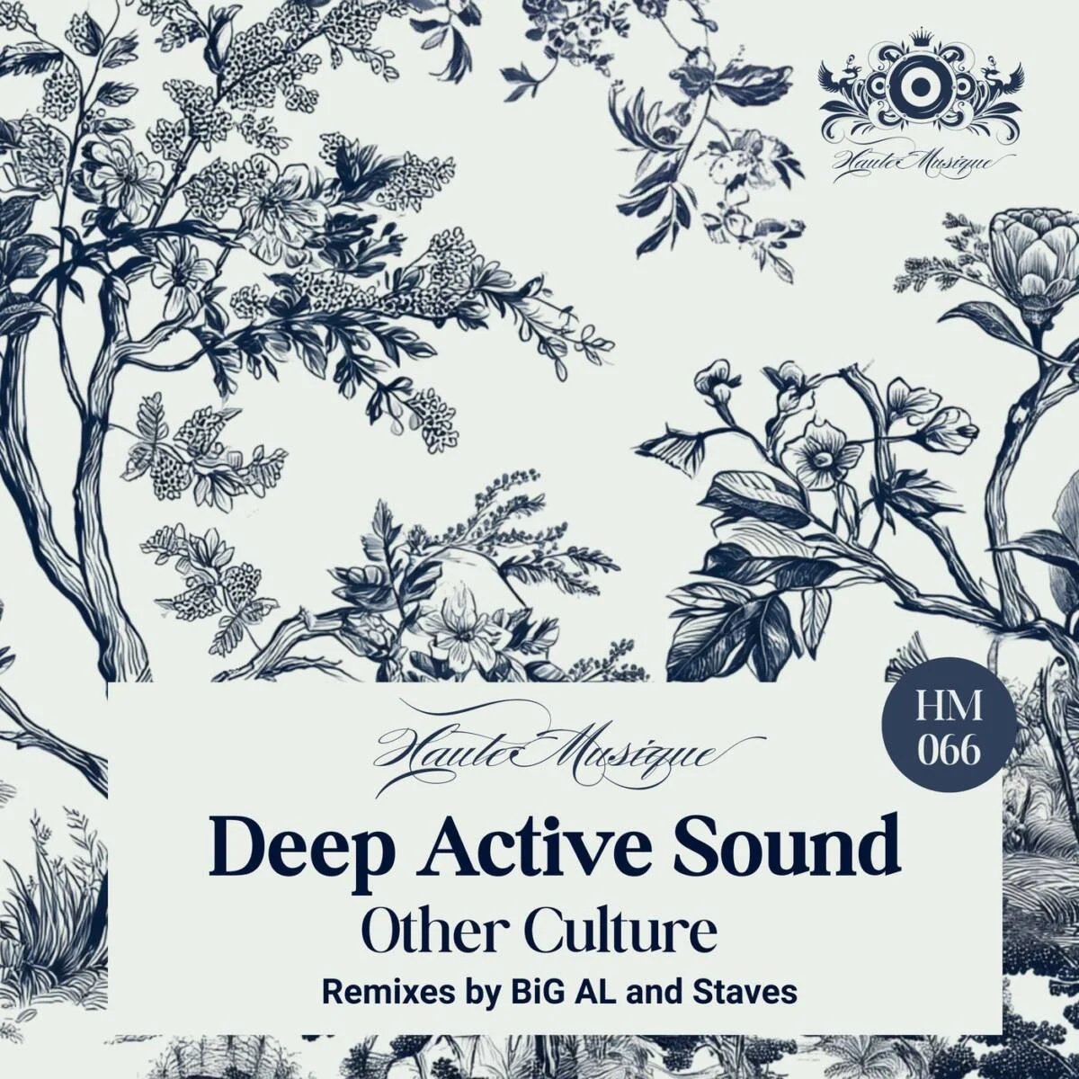 Cover Image: Deep Active Sound - Other Culture on Haute Musique