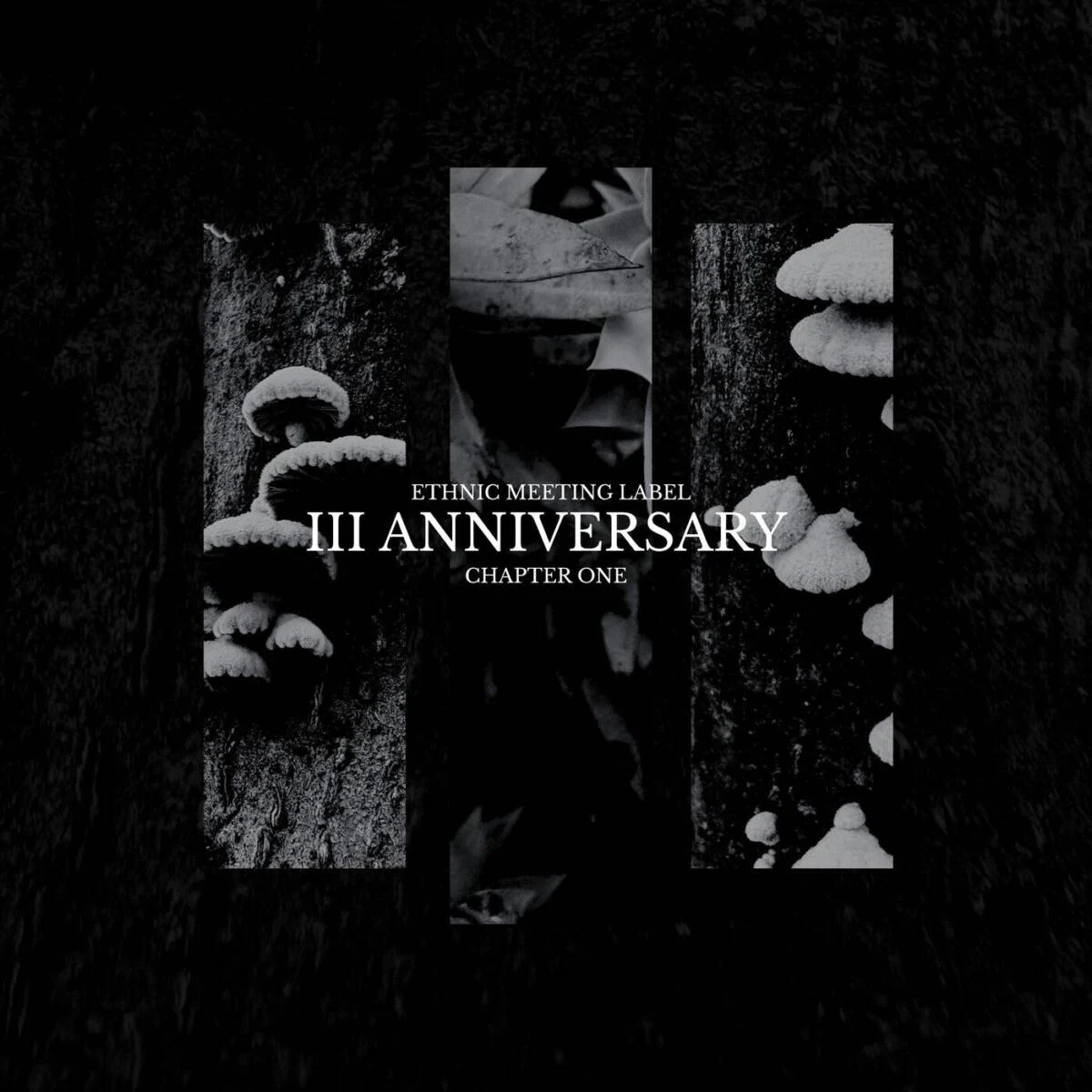 Cover Image: VA - III Anniversary Chapter One on Ethnic Meeting Label