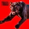Cover Image for TURRAKA Original Mix
