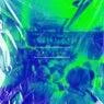 Cover Image for Critical Instrumental