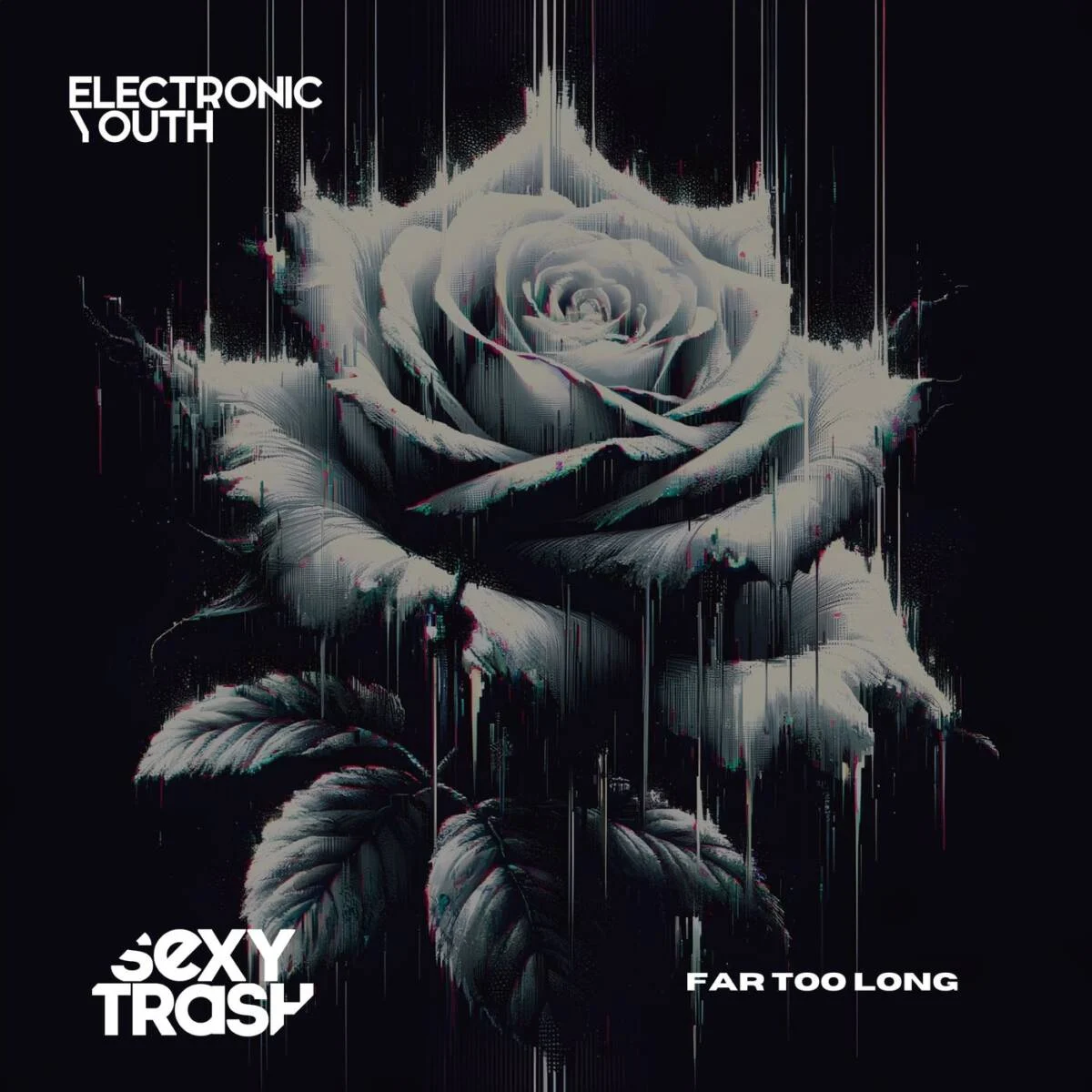 Electronic Youth – Far Too Long on Sexy Trash Records