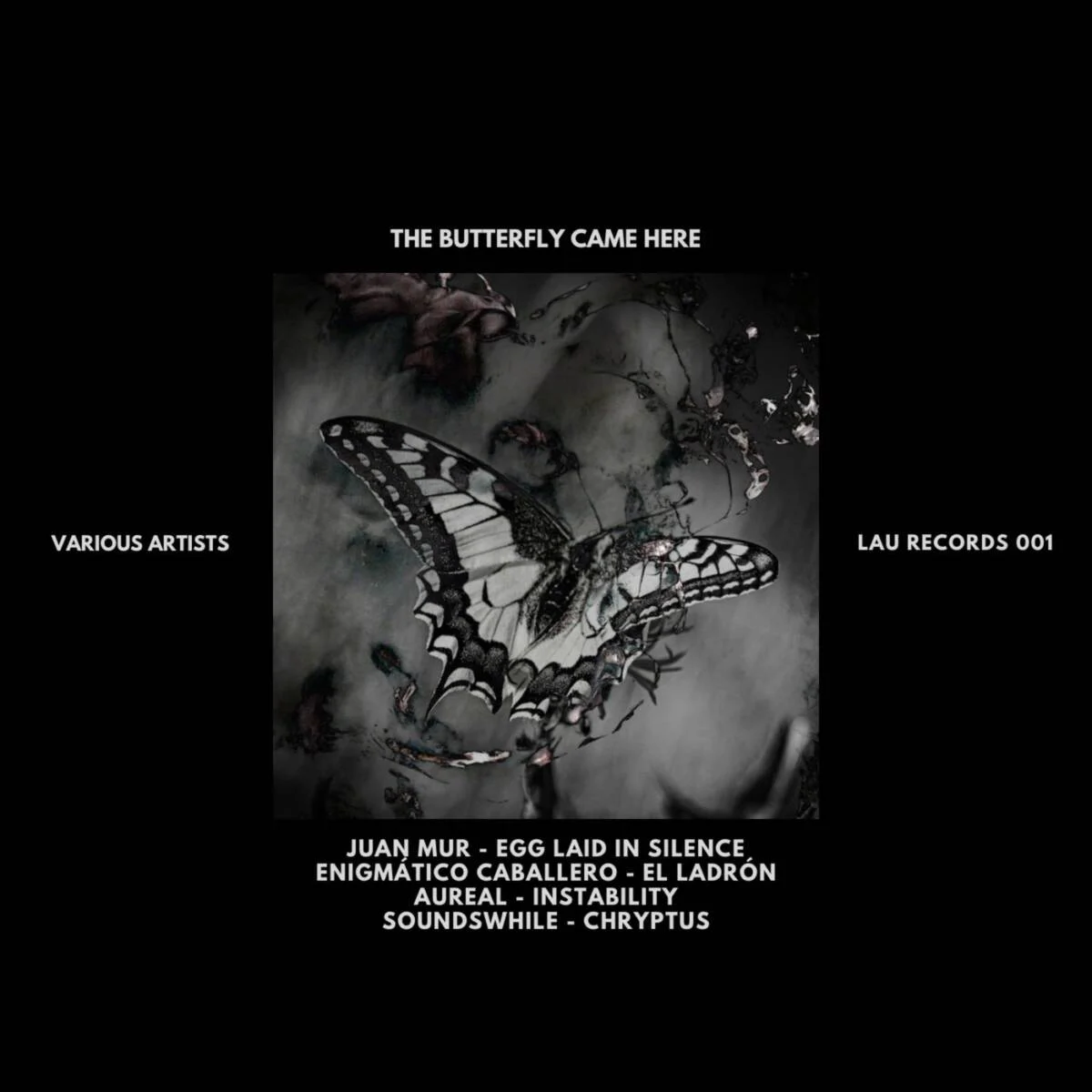 Cover Image: VA - The Butterfly Came Here on LAU RECORDS