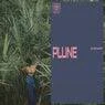 Cover Image for plune Original Mix