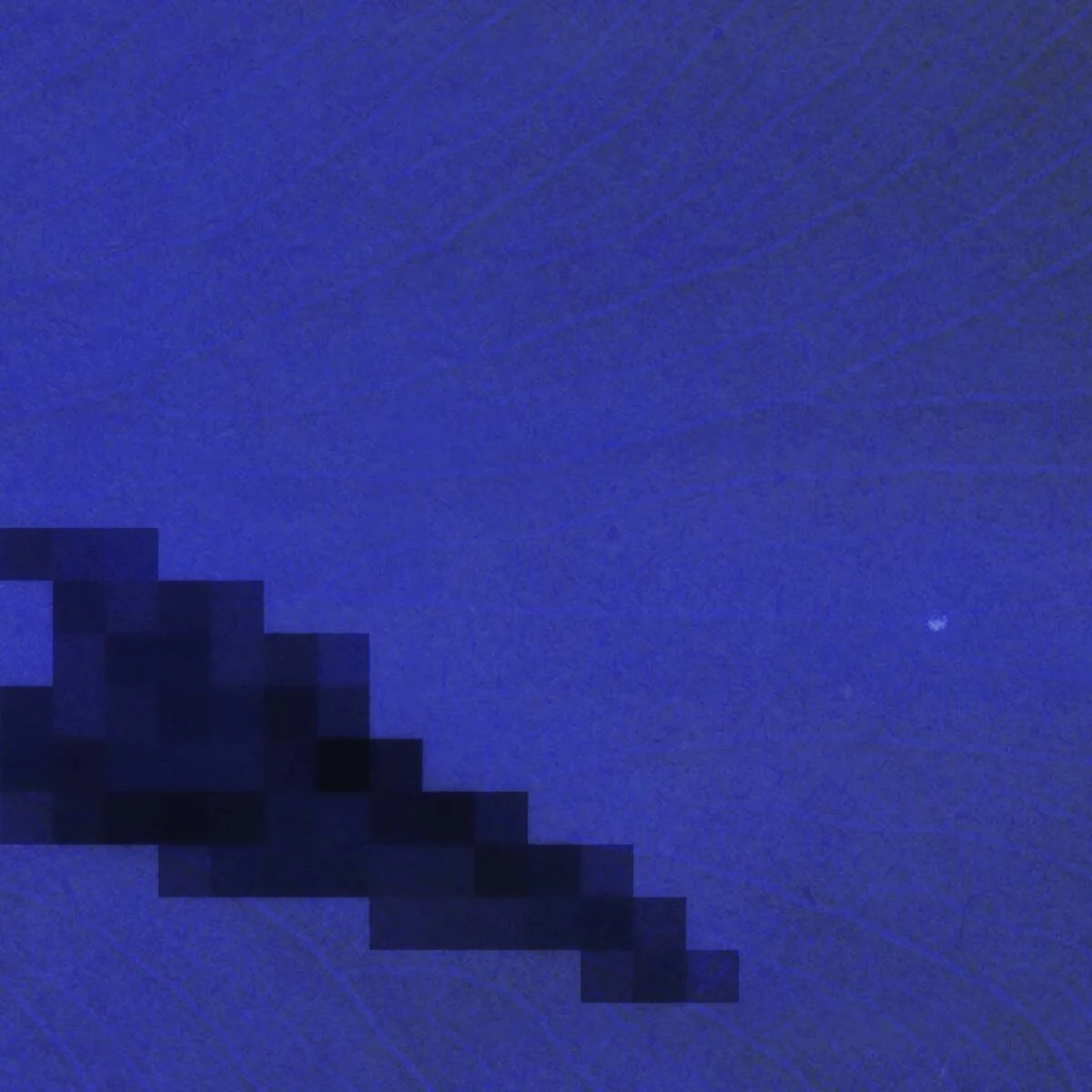 Schusta – Flor De Estufa EP on Schusta Recordings