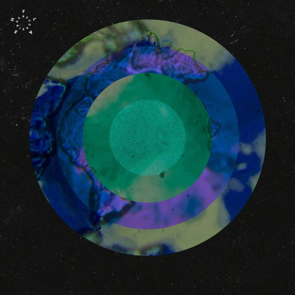 Anml Mthr – Cold Funktion EP on FLASH Recordings