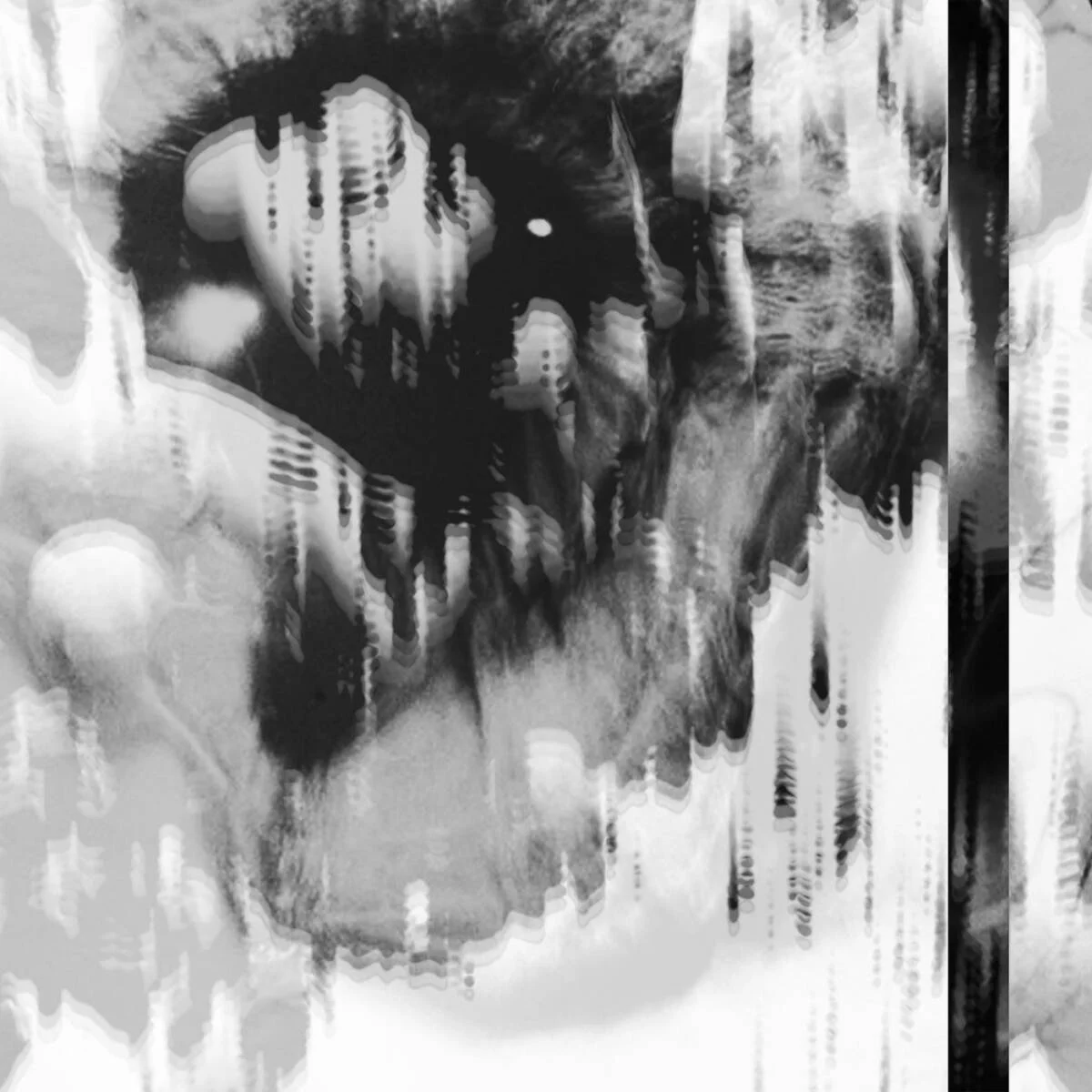 Alex Dolby – State of transience on sequenzial shift