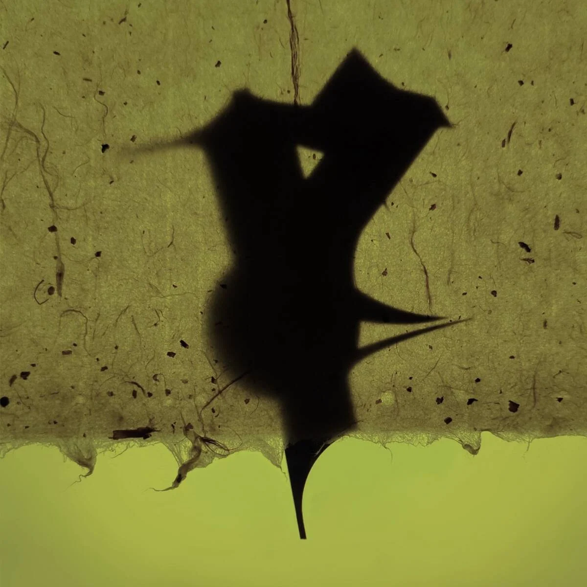 Cover Image: Jungstötter, Ronja - Sustained on Unguarded