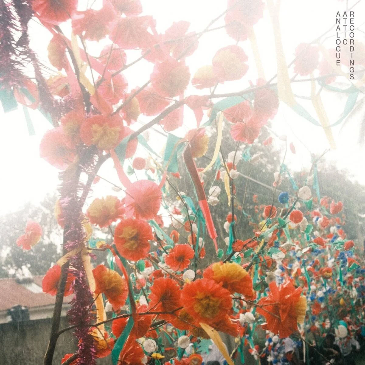 Alex Albrecht, Dinelka Liyanage, Pasindu Herath – Hiriketiya on Analogue Attic