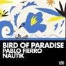 Cover Image for Bird Of Paradise Original Mix