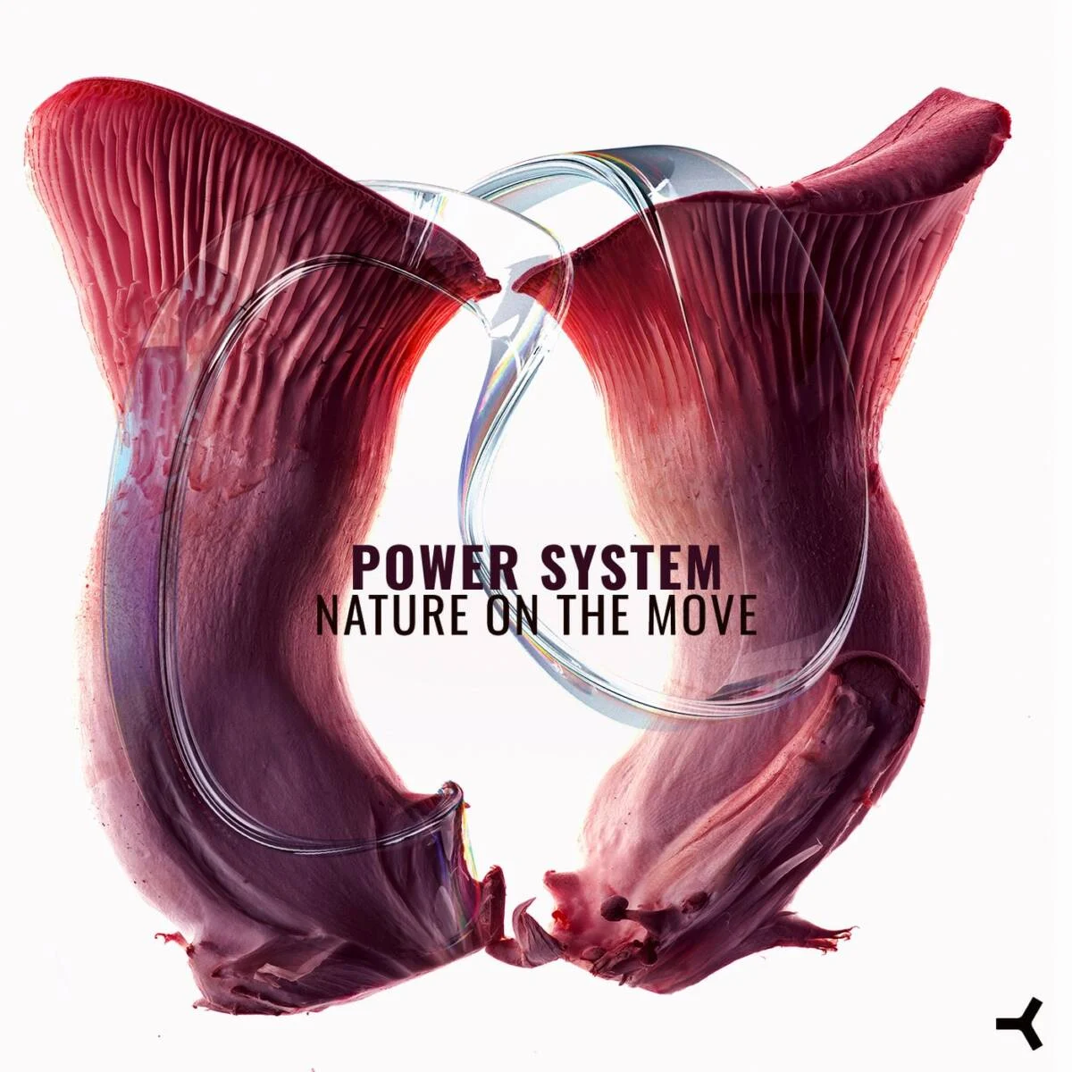 Power System – Nature On The Move on DIKI Records Classics