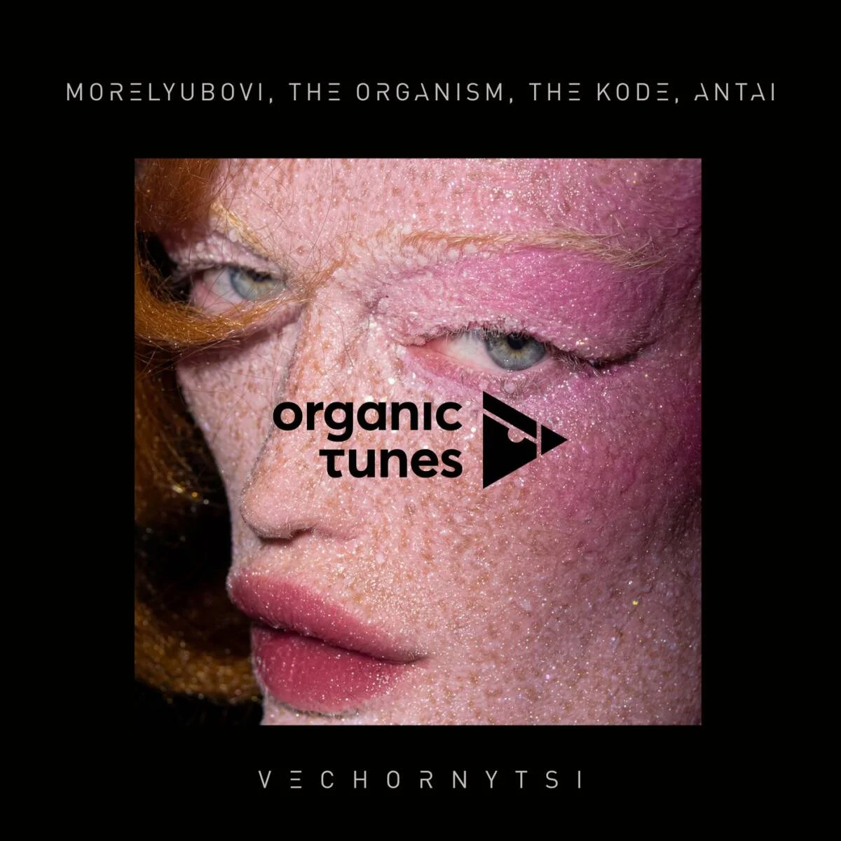 VA – Vechornytsi on Organic Tunes
