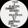 Cover Image for Nesting Chamber feat. Gavsborg Original Mix