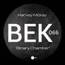 Cover Image for Binary Chamber Original Mix
