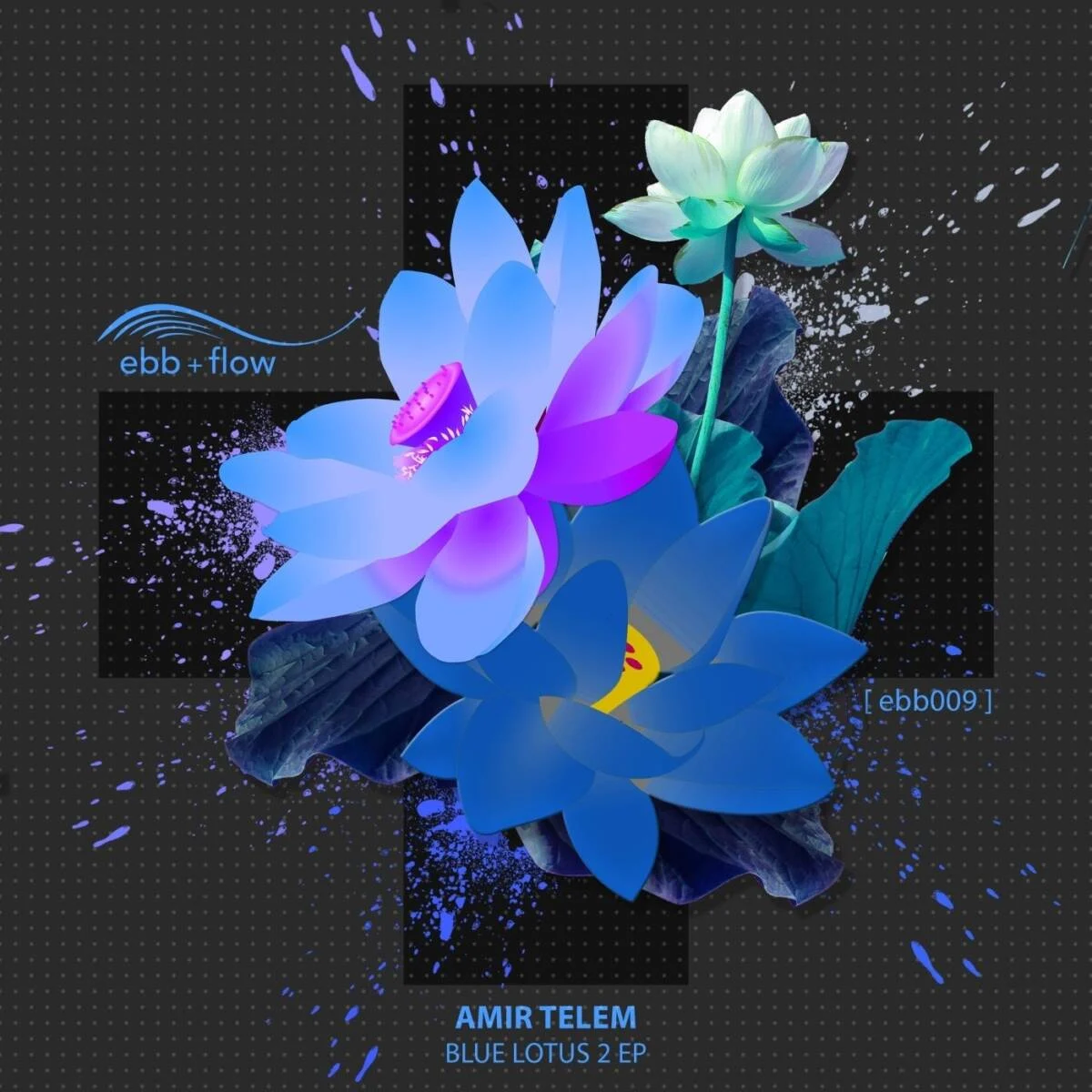 Amir Telem – Blue Lotus 2 on ebb + flow