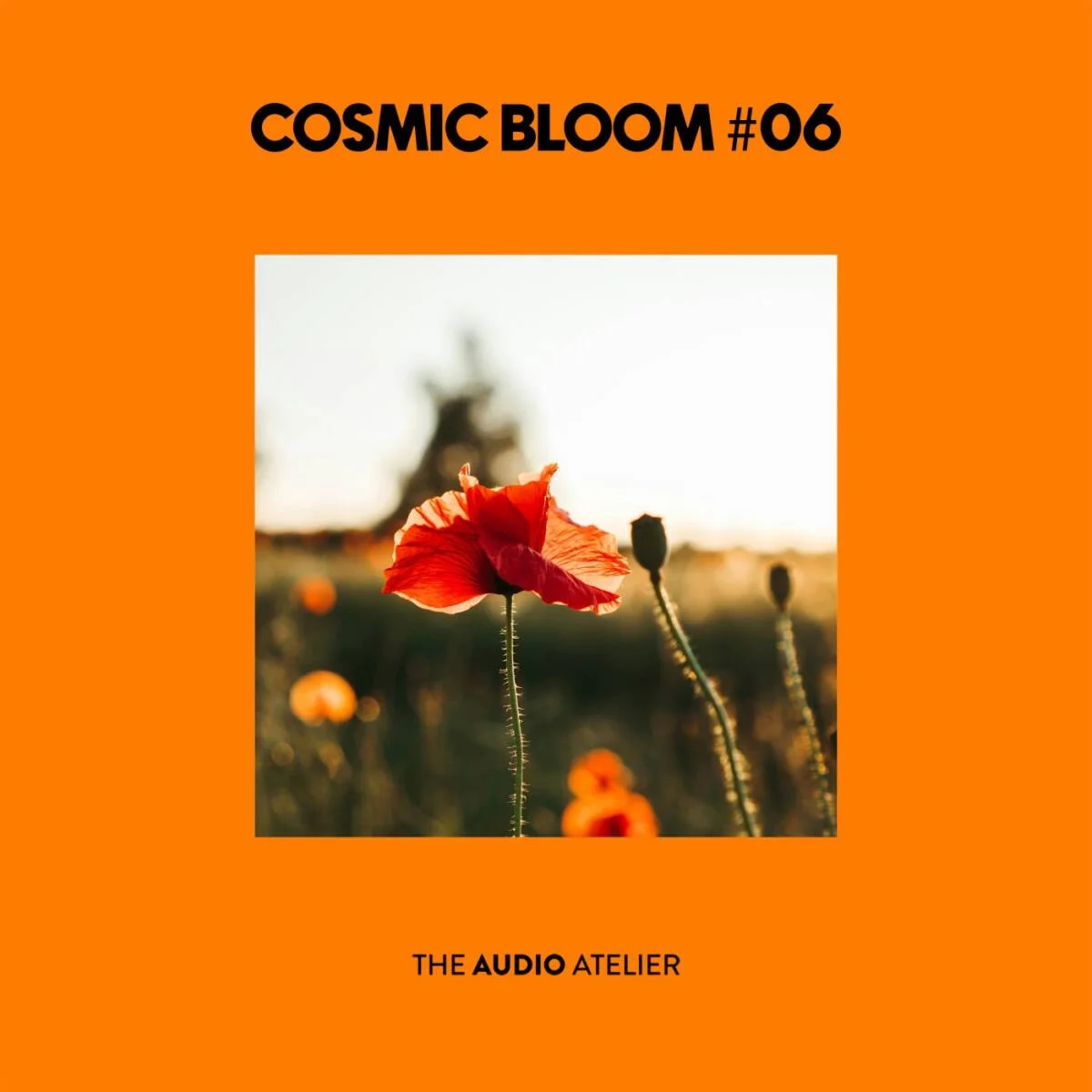 VA – Cosmic Bloom #06 on The Audio Atelier