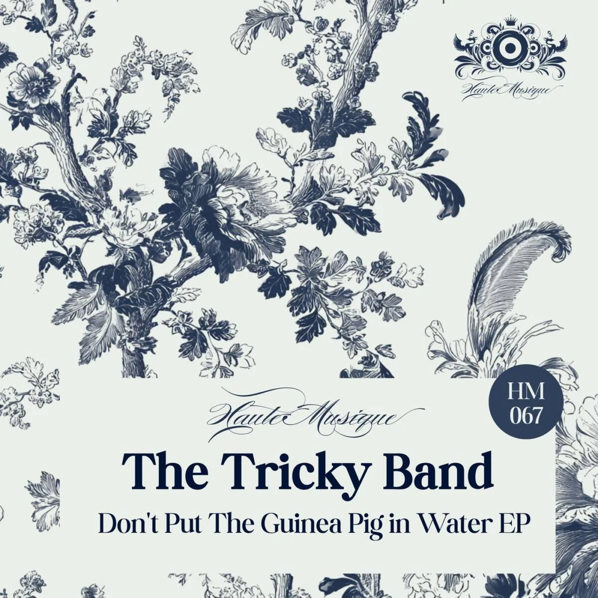 The Tricky Band – Don’t Put The Guinea Pig In Water EP on Haute Musique