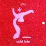 Cover Image for Rabbit Hole Original Mix