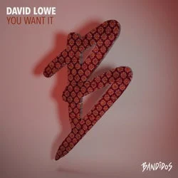 Cover Image: David Lowe - You Want It on BANDIDOS