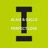 Cover Image for Perfect Love Extended Mix