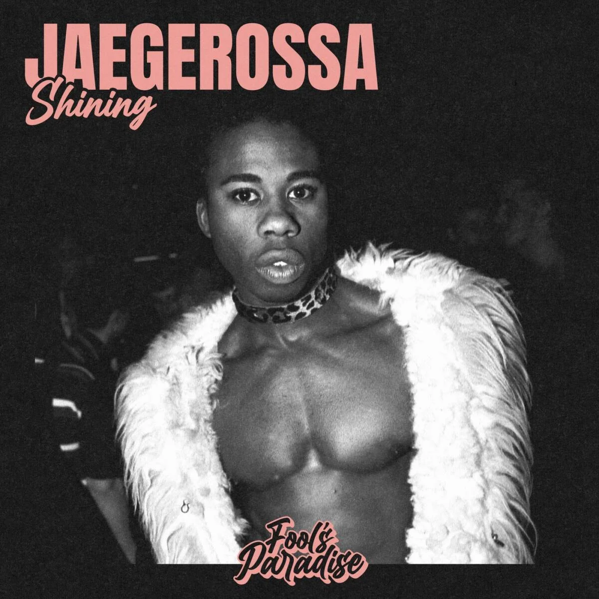 Cover Image: Jaegerossa - Shining on Fool's Paradise