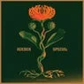 Cover Image for Special Original Mix