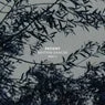 Cover Image for Rhythm Dancer Original Mix