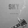 Cover Image for Sky Extended