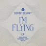 Cover Image for I'm Flying Extended Mix