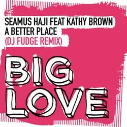 Cover Image: Seamus Haji, Kathy Brown - A Better Place on Big Love Music