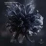 Cover Image for I Need The Acid Original Mix